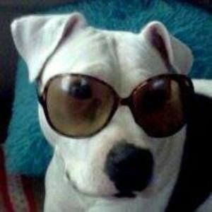 Meet your Posher, Lively